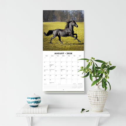 Horses 2026 Premium Square Wall Calendar