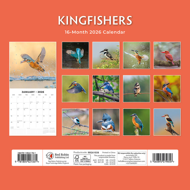 Kingfishers 2026 Premium Square Wall Calendar
