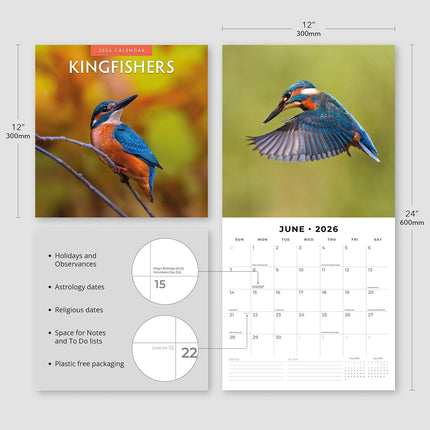 Kingfishers 2026 Premium Square Wall Calendar