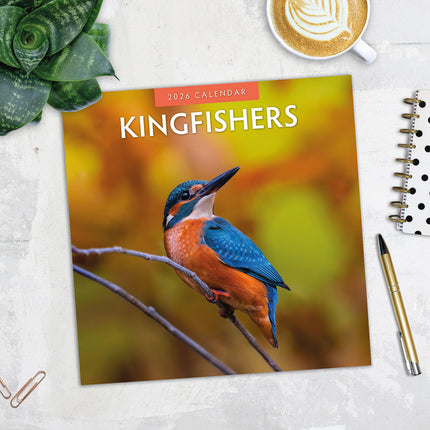 Kingfishers 2026 Premium Square Wall Calendar