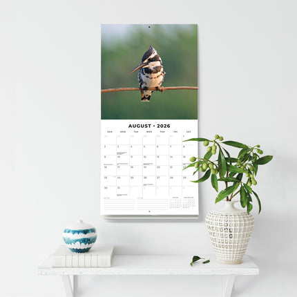 Kingfishers 2026 Premium Square Wall Calendar