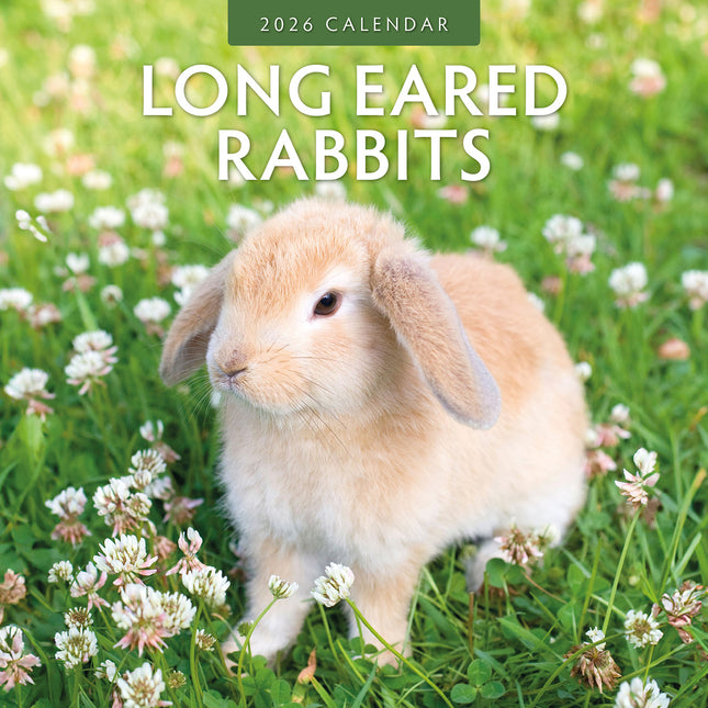 Long Eared Rabbits 2026 Premium Square Wall Calendar