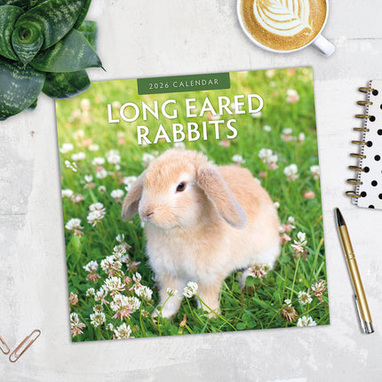 Long Eared Rabbits 2026 Premium Square Wall Calendar
