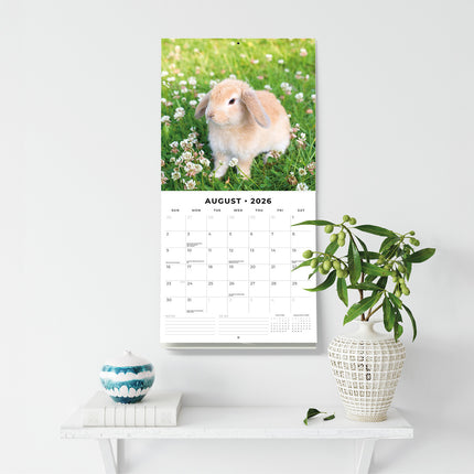 Long Eared Rabbits 2026 Premium Square Wall Calendar