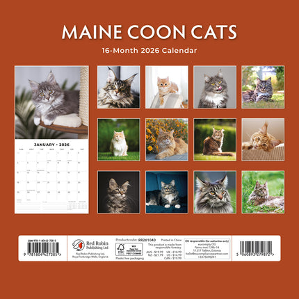 Maine Coon Cats 2026 Premium Square Wall Calendar