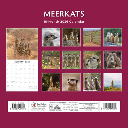 Meerkats 2026 Premium Square Wall Calendar