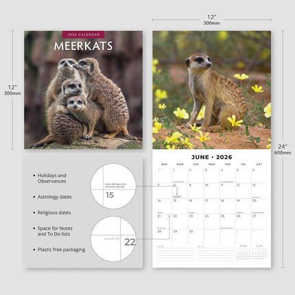 Meerkats 2026 Premium Square Wall Calendar