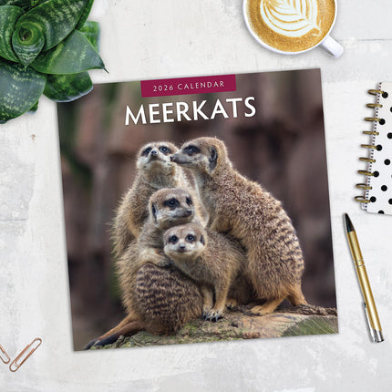 Meerkats 2026 Premium Square Wall Calendar