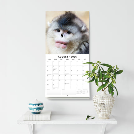 Monkey Business 2026 Premium Square Wall Calendar