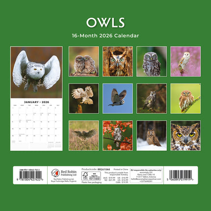 Owls 2026 Premium Square Wall Calendar