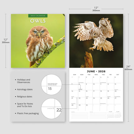 Owls 2026 Premium Square Wall Calendar