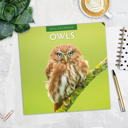 Owls 2026 Premium Square Wall Calendar