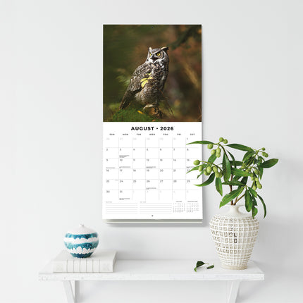 Owls 2026 Premium Square Wall Calendar