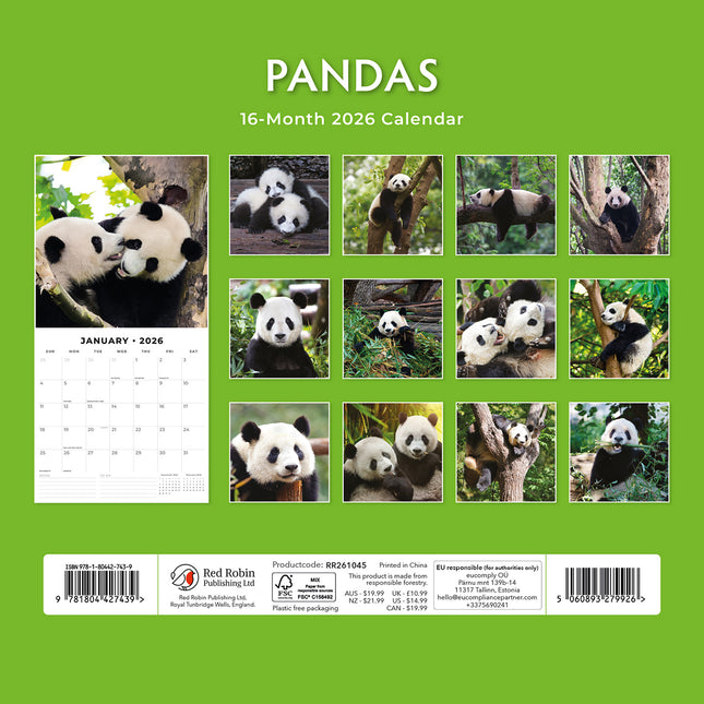 Pandas 2026 Premium Square Wall Calendar