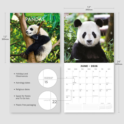 Pandas 2026 Premium Square Wall Calendar