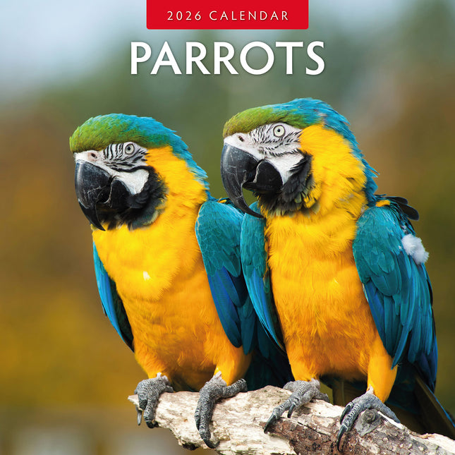 Parrots 2026 Premium Square Wall Calendar