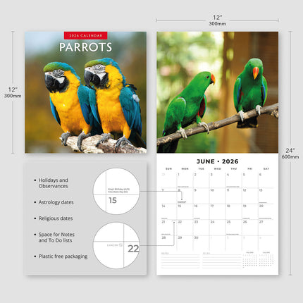 Parrots 2026 Premium Square Wall Calendar