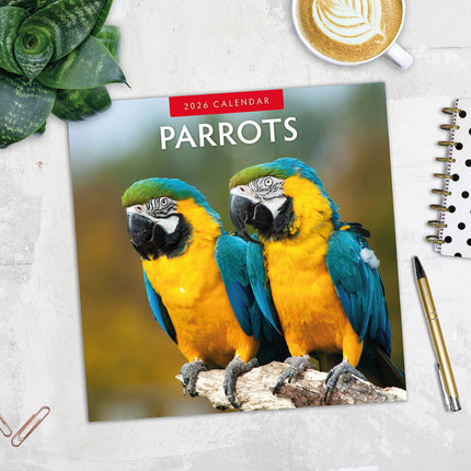 Parrots 2026 Premium Square Wall Calendar