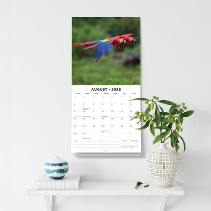 Parrots 2026 Premium Square Wall Calendar