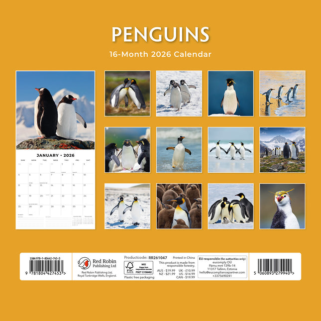 Penguins 2026 Premium Square Wall Calendar
