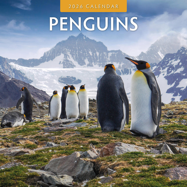 Penguins 2026 Premium Square Wall Calendar