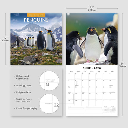 Penguins 2026 Premium Square Wall Calendar