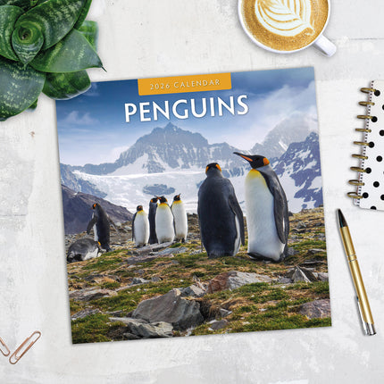 Penguins 2026 Premium Square Wall Calendar