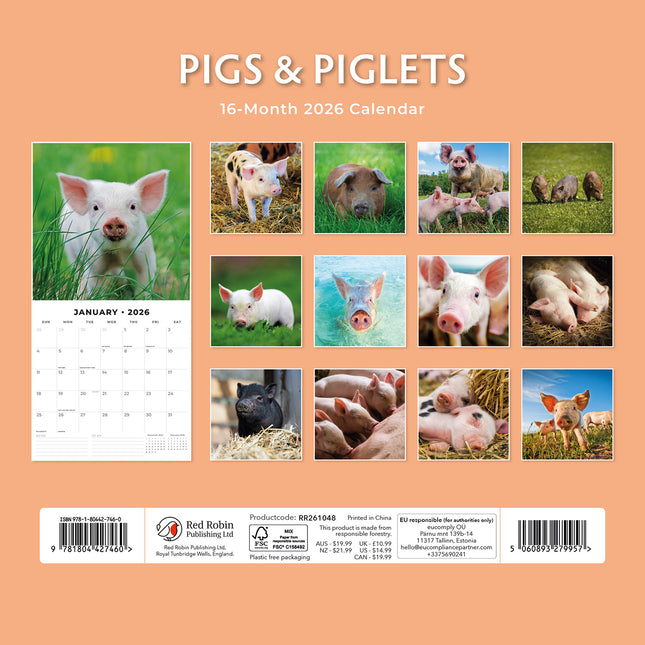Pigs And Piglets 2026 Premium Square Wall Calendar