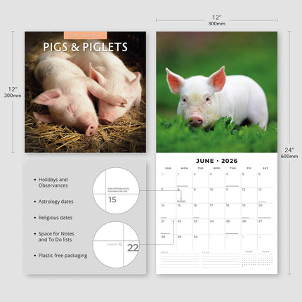 Pigs And Piglets 2026 Premium Square Wall Calendar