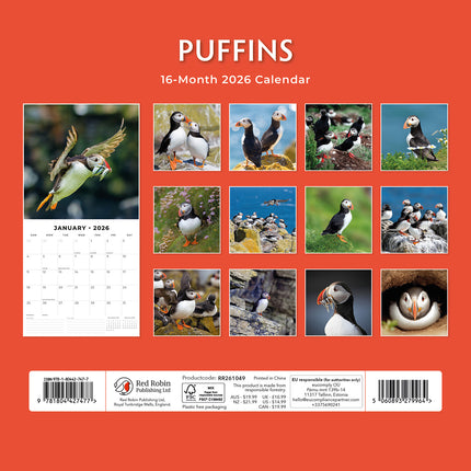 Puffins 2026 Premium Square Wall Calendar