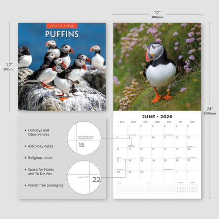 Puffins 2026 Premium Square Wall Calendar