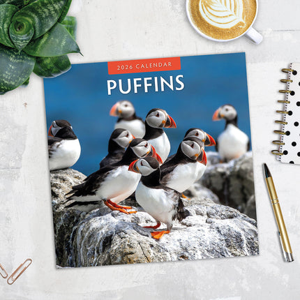 Puffins 2026 Premium Square Wall Calendar