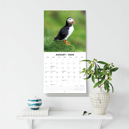 Puffins 2026 Premium Square Wall Calendar