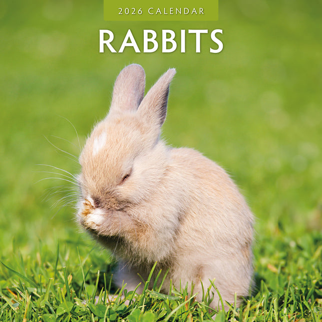 Rabbits 2026 Premium Square Wall Calendar