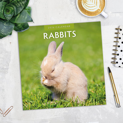 Rabbits 2026 Premium Square Wall Calendar
