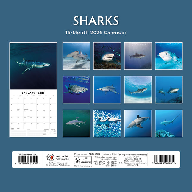 Sharks 2026 Premium Square Wall Calendar