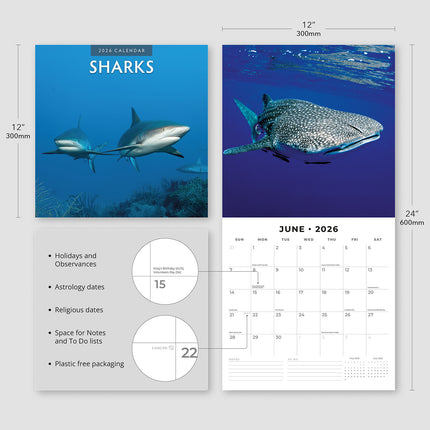 Sharks 2026 Premium Square Wall Calendar