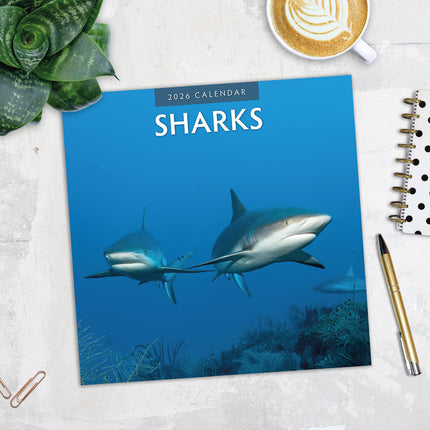 Sharks 2026 Premium Square Wall Calendar