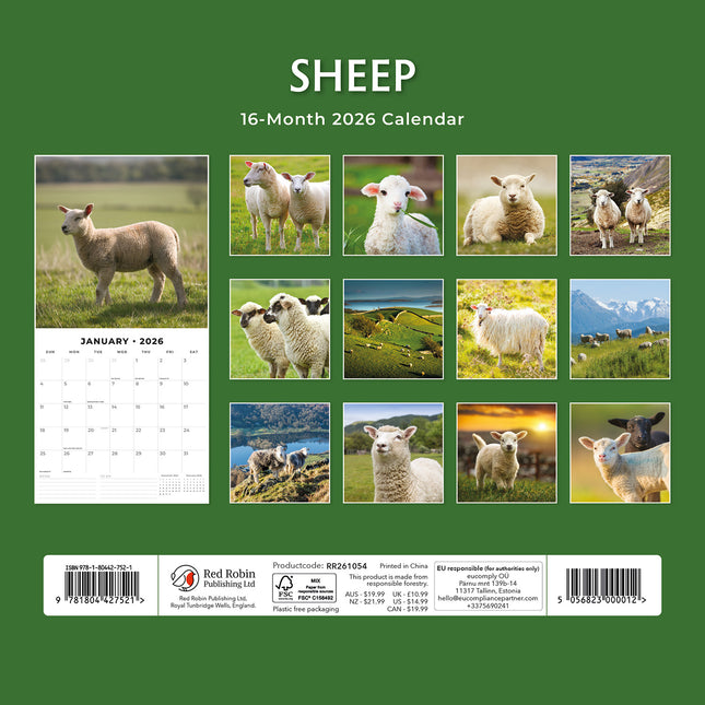 Sheep 2026 Premium Square Wall Calendar