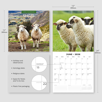 Sheep 2026 Premium Square Wall Calendar