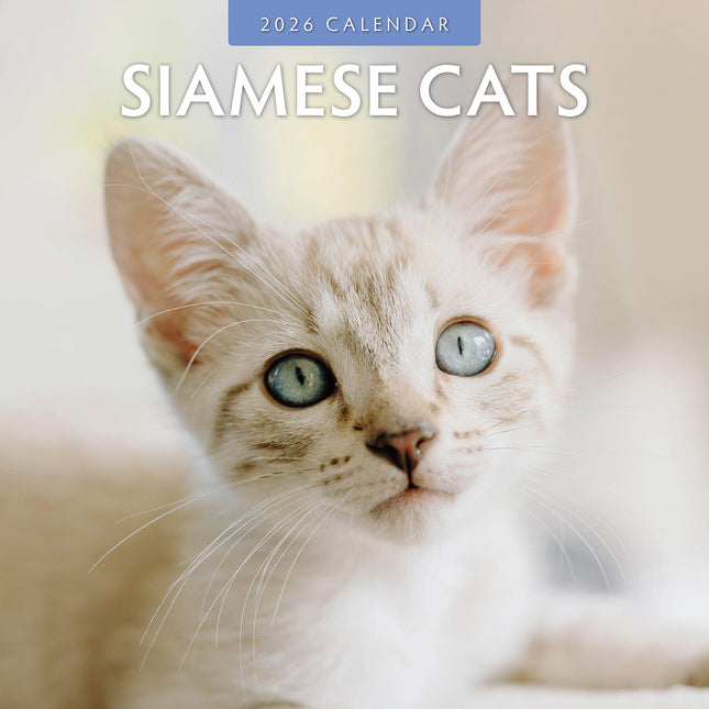 Siamese Cats 2026 Premium Square Wall Calendar