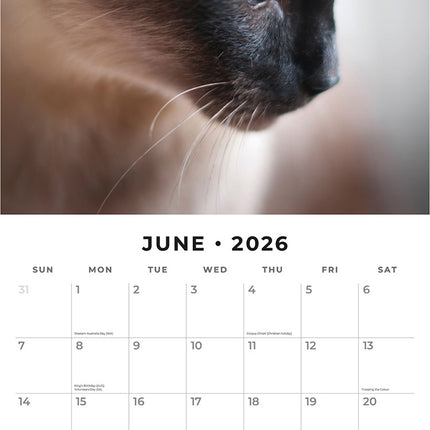 Siamese Cats 2026 Premium Square Wall Calendar