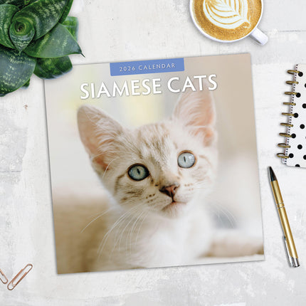 Siamese Cats 2026 Premium Square Wall Calendar