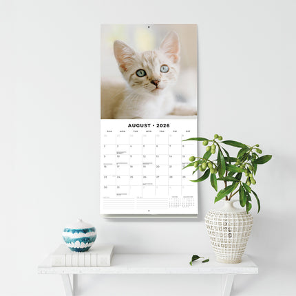 Siamese Cats 2026 Premium Square Wall Calendar