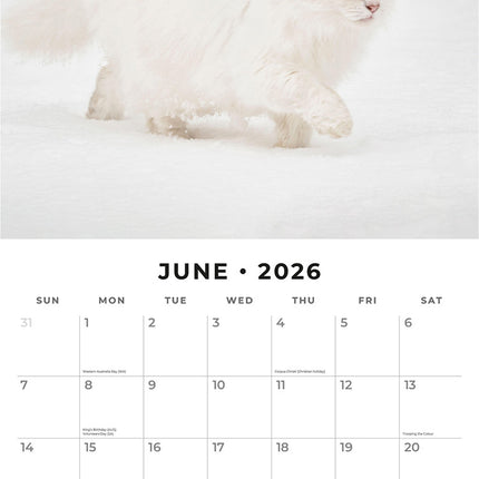 Snow Animals 2026 Premium Square Wall Calendar