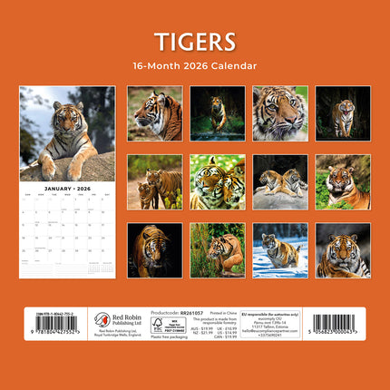 Tigers 2026 Premium Square Wall Calendar