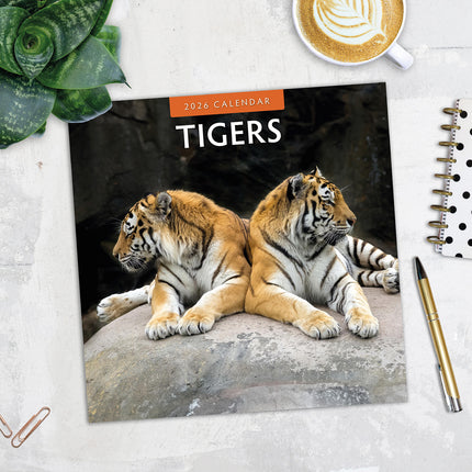 Tigers 2026 Premium Square Wall Calendar