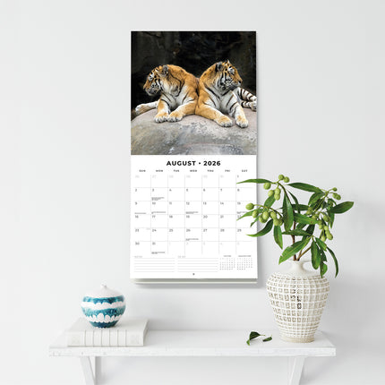Tigers 2026 Premium Square Wall Calendar