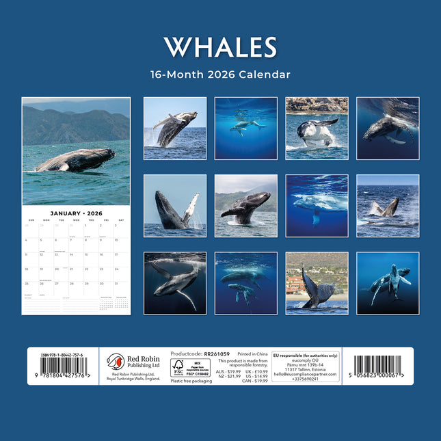 Whales 2026 Premium Square Wall Calendar