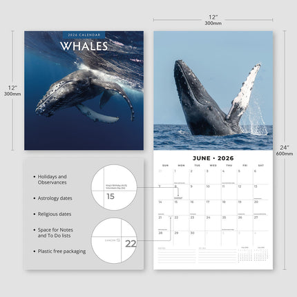 Whales 2026 Premium Square Wall Calendar